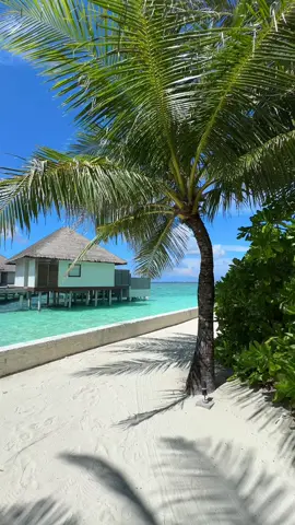Heaven @velassarumaldives 🩵🌴 #maldives #velassaru #velassarumaldives #maldivesresort #maldivesisland 