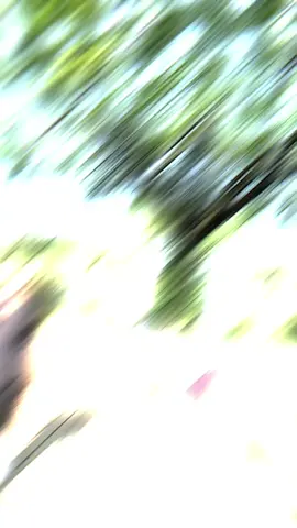 #CapCut 