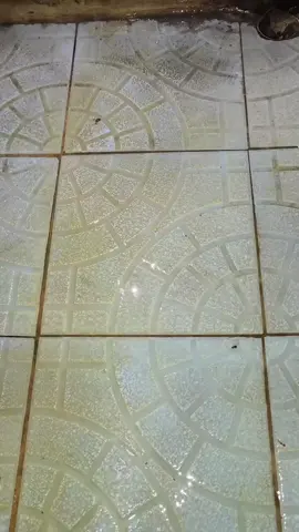 rekomendasi pembersih kerak ada di keranjang kuning #kamarmandi #premium #kerakmembandel #pembersihkamarmandi #toiletcleaner 