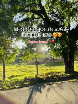 #huilacolombia🇨🇴 #estadosunidos🇺🇸 #graciasporsuapoyo❣️ #cauca #fyppppppppppppppppppppppp 