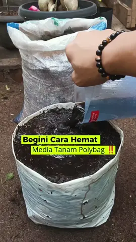 Bagian 193 | Cara Hemat Media Tanam di Polybag ♻️ Cukup pakai kardus bekas & sampah kering di dasar polybag. Lalu tutup dengan campuran sekam bakar & tanah kebun. Biar makin subur, jangan lupa siram pakai asam humat 🌿💧 #mediatanam #asamhumat 
