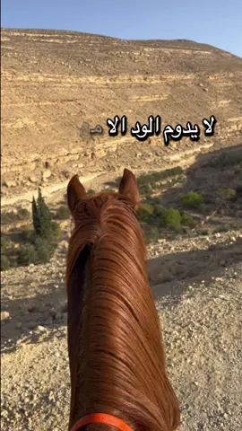#أكسبلور_شعر_حكم_خواطر 