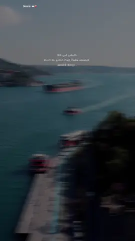 Hmm🥺❤️‍🩹 #nova #1millionaudition #froyoupage #fyppppppppppppppppppppppp #trending 