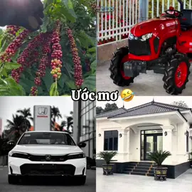 Ước mơ của anh  #caphe #civic #kubota #nhacap4 #anhnongdan 