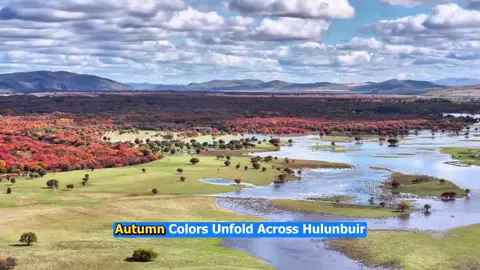 It feels like God spilled a paint palette over Inner Mongolia. 🌾✨ Hulunbuir grasslands are now in their peak season of beauty. #InnerMongolia #Autumn