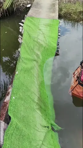 Cãi Cha Cãi Mẹ 😎😎#xuhuong #xuhuongtiktok #shipper 