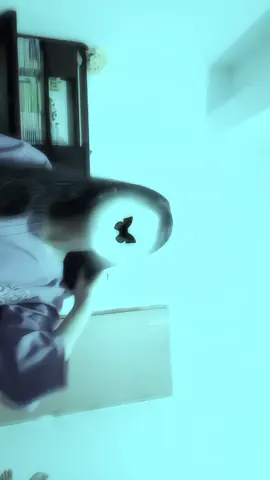 -🖤👀   .. .. .. .. .. .. .. ..