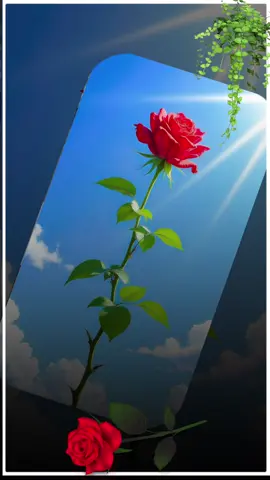#CapCut #loveyoumyfamily👩‍❤️‍💋‍👨❤️❤️🌹 #fyapviralvideo🌺❤️❤️ #nepalimuser🇳🇵🇳🇵❤️🌹🙏🏼🙏🏼 