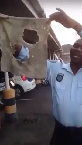 #creatorsearchinsights #viraltiktok #trendingvideo #content #southafricatiktok🇿🇦 