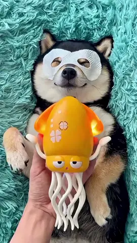 dog spa day #asmr #cute #dogoftiktok #littlemanyu #dogspa 