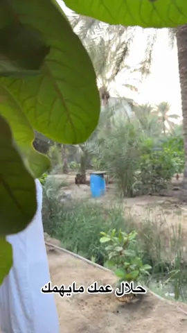 #حلال_عمك_مايهمك#العوامية_صفوى_القديح_ام_الحمام_سيهات #البحرين🇧🇭السعودية🇸🇦 #أكسبلورر #تررند @عباس الكتل 