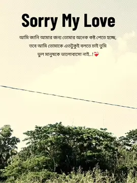 Sorry My Love আমি জানি আমার জন্য তোমার অনেক কষ্ট পেতে হচ্ছে, তবে আমি তোমাকে এতটুকুই বলতে চাই তুমি ভুল মানুষকে ভালোবাসো নাই..!❤️‍🩹 #fyppppppppppppppppppppppp #fyp #capcut #foryou #foryoupage 