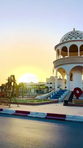 #الجزائر🇩🇿 #وادي_سوف #سوفي #سوفية #ليبيا_مصر_تونس 