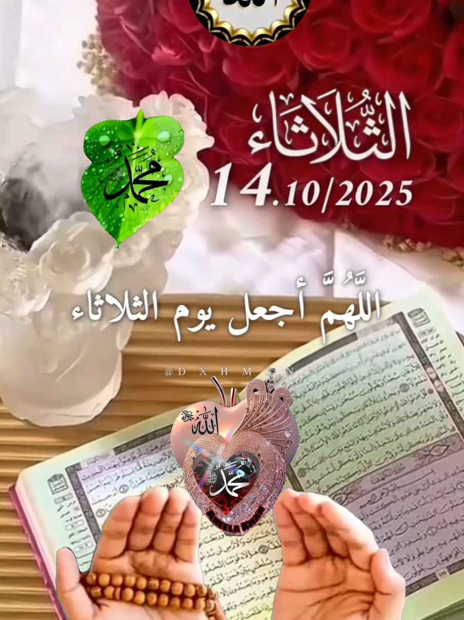 #CapCut #دعاء_يوم_الثلاثاء #يارب #اللهم_امين_يارب_العالمين #دعاء_يوم_الثلاثاء  ادعيه  دعاء_جميل دعاء_عظيم دعاء_يريح_القلوب_ويطمئن_النفوس  🤲🤲🕋🕋🤲🤲