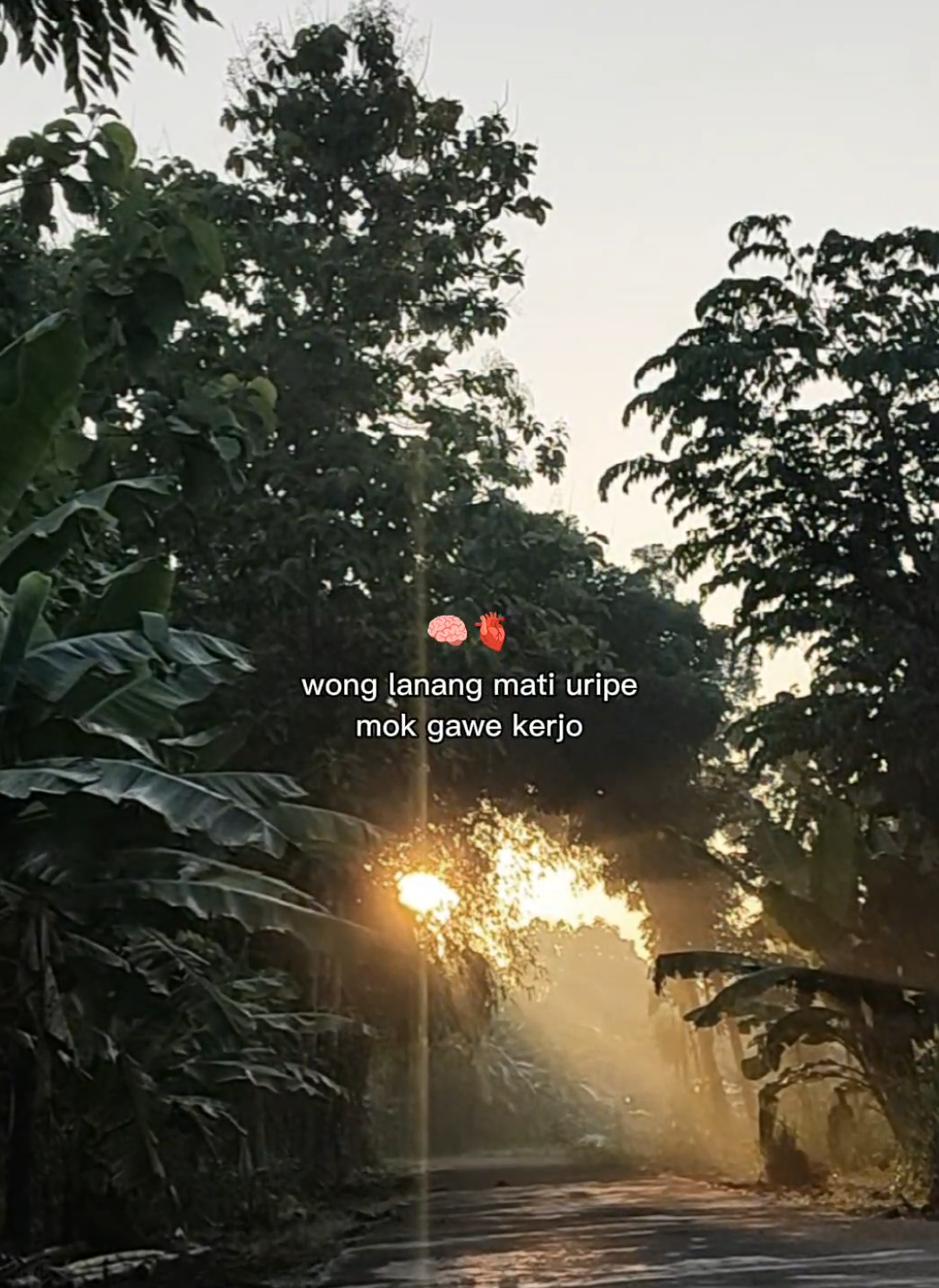 wong lanang mati uripe mok gawe kerjo #CapCut #story #katakatamotivasi #katakata #masukberanda 