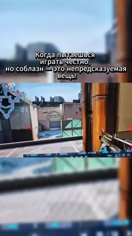 ты же сказал, что ты шаришь в этой теме, ты, блять!! #riot #riotgames  #Valorant 