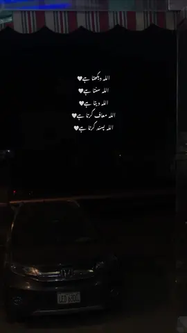 🤍'l #hehe_daniii #iconiczoe #fyp#foryouu #foryoupage 