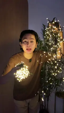 solar christmas lights na ang uso ngayon na pailaw ngayong pasko #solarchristmaslights #christmaslights #solarlights #homeandlifestyle 
