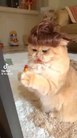 #အလှအပကြိုက်တာဟာသဘာဝပဲပေါ့ကွယ် #ချစ်ခင်ပေးသူအားလုံး🥰ကျေးဇူးပါ #မင်းတို့ပေးမှ❤ရမဲ့သူပါကွာ #uတို့ရဲ့အကြည်ဓာတ်လေး😘😍 #ခင်ပေးကြပါအုံးနော် 