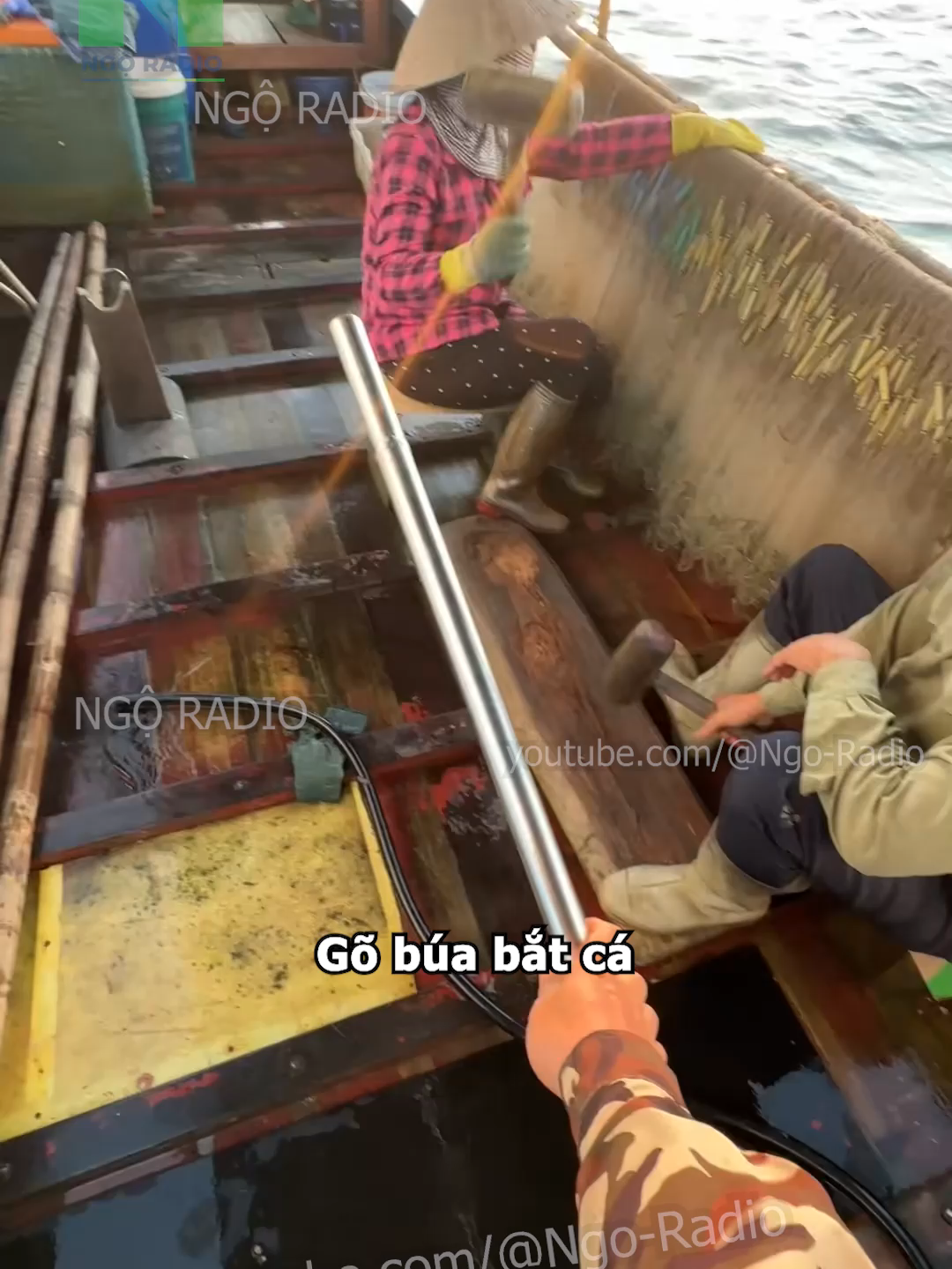 Gõ búa bắt cá #viraltiktok #ngoradio #tintuc #haihuoc