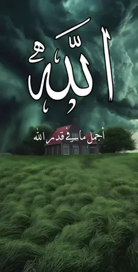 #CapCut #يارب❤️ #اذكار_الصباح_لصباح_مشرق_بإذن_الله_ #سبحان_الله_وبحمده_ #يارب_فوضت_امري_اليك 