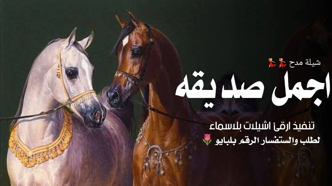 شيله مدح أجمل صديقه تنسيق شيلات لجميع المناسبات بالاسماء السعوديه 🇸🇦 قطر 🇶🇦 الكويت 🇰🇼 الإمارات 🇦🇪 اطلب شيلاتك عل استديو موعد فرح لتنفيذ افخم الشيلات وزفات 🎤🎵🤩💃