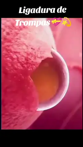 Nutrición Micelizada Usa 🇺🇸 #usa #miami #california #eeuu #denvercolorado 