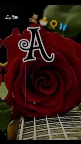 #bilkul💯❤Mari_jaan😘 #a_love_status♥️♥️🥰💫❤❤❤❤ #foryou_ #foryou_ #for_page_viral_vedio_100k_veiw👑💞 