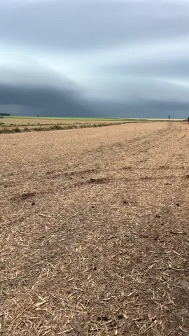 Chuva na lavoura. 208 no bordo #canadeacucar🌾 #colheitamecanizada #agricultura #agronaopara #grunner 