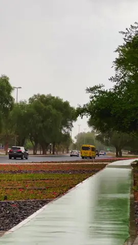 الإمارات #ابو ظبي # امطار مدينه العين الحبيبه🌷♥️##