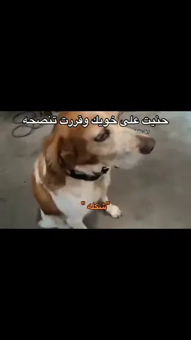 فكيت ميزة الهدايا للي يبي🫣🔥 #ايفل🇧🇪 