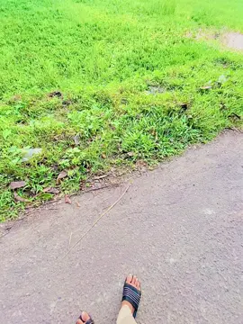 ভন্ডামি করা ছেড়ে দিছি কারণ এখন বউ আমার ভিডিও দেখে..!🥳💋🤭 @TikTok Philippines 