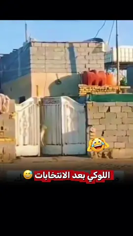 #وين_لوكي #هشتاك_تيك_توك #الانتخبات😂هههههههههههه 