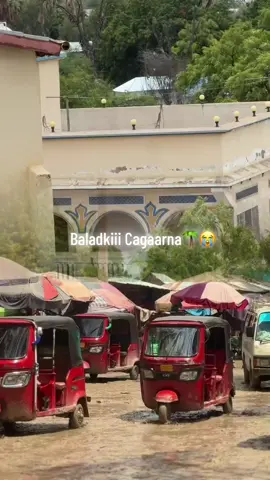 #bartamaha magalada beledwein airpor maleh wado maleh dhismo maleh hormar maleh  Sidaan xal maahin Wadada Shacabka Hadhiso Gacmo wadajir beey wax ku Gooyane #baladweyne🌴💉💯❤️🙏🌴 #foryoupage #hiiraanstate🇸🇧🔥 #foryoupage 