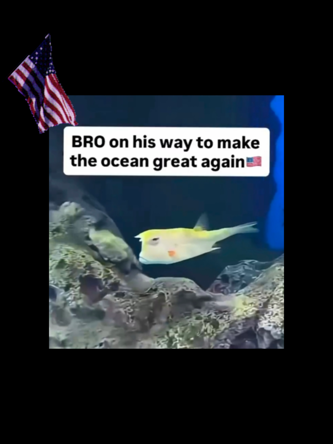 #StreamWeaver76 🇺🇲🦅😂 #MAGA 