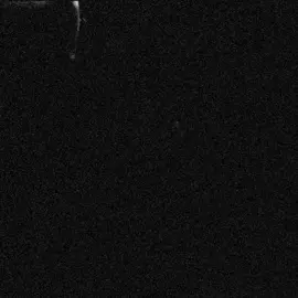 Agent 47 || #hitman #agent47 #hitmanedit #fyp #viral  @The Official HITMAN Account 