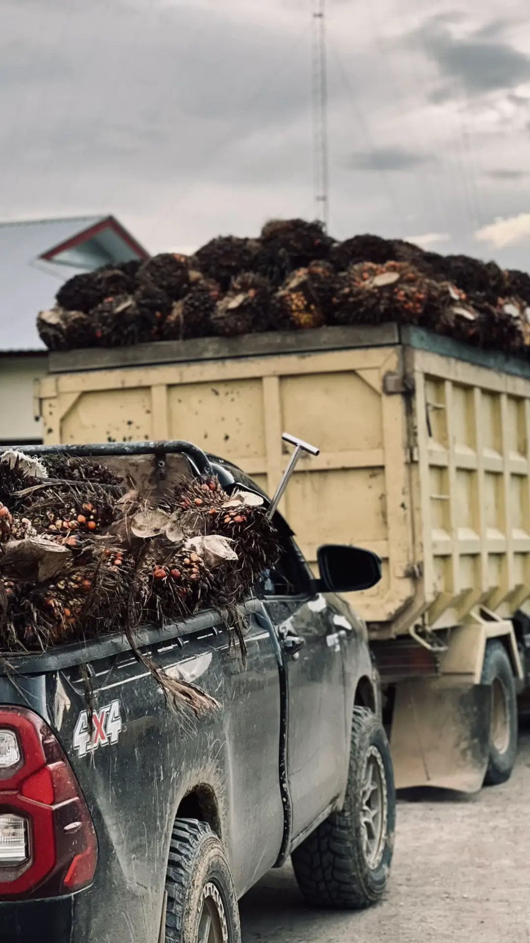 Cara membuat mie ayam Bahan-bahan: 500 gr mie telur 300 gr daging ayam 500 ml minyak ayam 4 siung bawang putih 4 siung bawang merah 1 sdt ketumbar 1 ruas jari kunyit 4 butir kemiri 1 ruas jari jahe 2 liter air rebusan daging ayam 1 sdt lada bubuk 1 sdt garam Tulang ayam secukupnya Cara membuat: Pertama, buat kuah kaldu mie ayam terlebih dahulu. Caranya denga merebus lagi air rebusan daging ayam ditambah dengan lada bubuk, garam, dan tulang ayam Untuk topping ayamnya, rebus ayam terlebih dahulu kemudian potong kecil-kecil atau potong halus Haluskan bumbu seperti bawang merah, bawang putih, ketumbar, kunyit, kemiri, dan jahe Panaskan minyak lalu tumis ayam dengan bumbu halus tadi sampai matang Tambahkan garam dan penyedap rasa secukupnya Setelah kuah mie ayam dan toppingnya jadi, rebus mie telur yang sudah disiapkan  Siapkan mangkuk saji lalu tambahkan 1 minyak ayam dan 1 sdt merica Masukkan mie yang sudah matang ke dalam mangkuk saji lalu aduk rata sampai mie tercampur dengan minyak ayam  Tambahkan topping ayam dan juga kuah ayam Mie ayam sederhana siap disajikan
