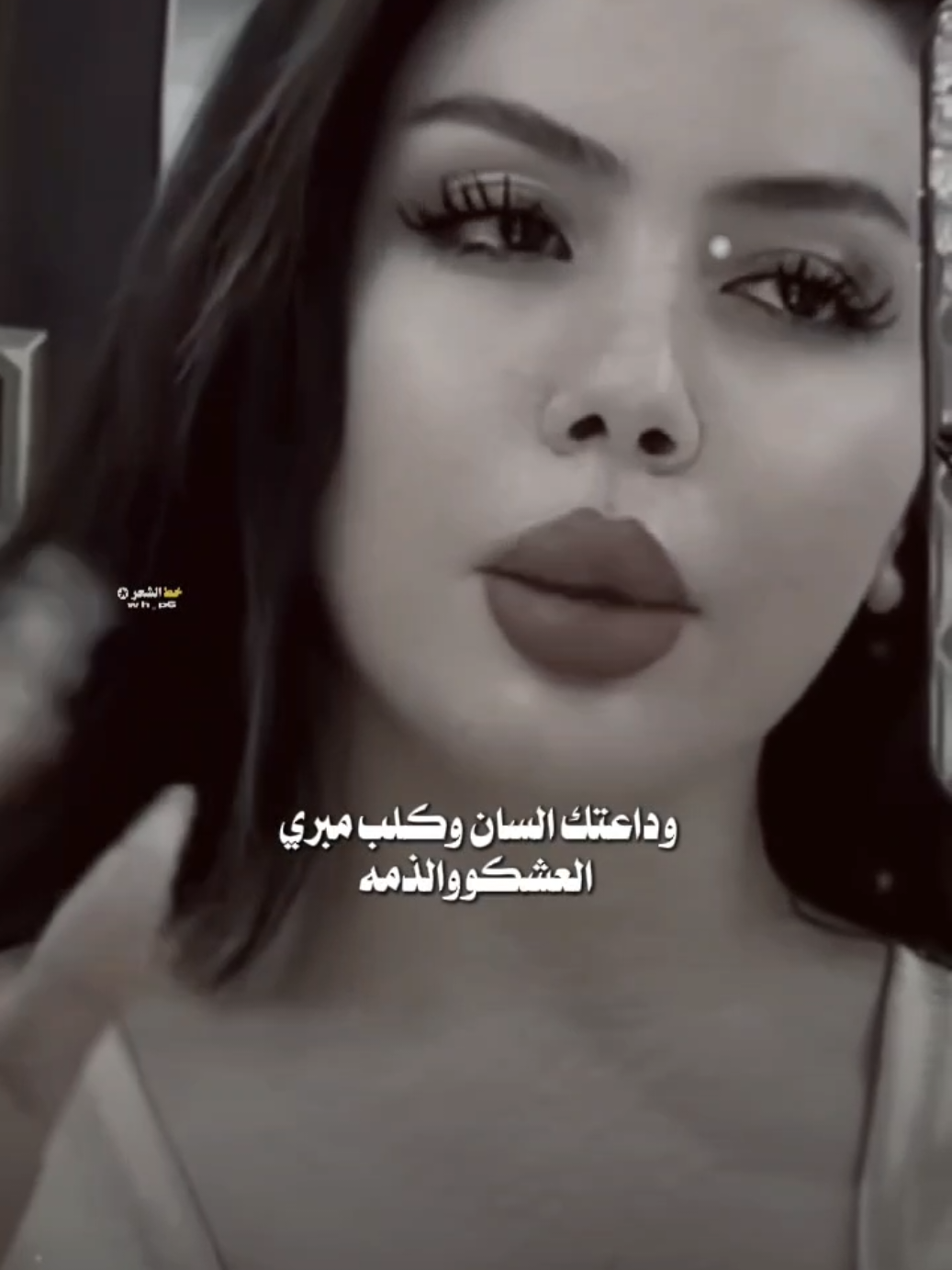 ودعتك السان وكلب مبري العشك ولذمه #شعر_شعبي #عاده_نشر🔁 #خط_الشعر #fyp 