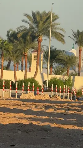 �✨ موكب الترام في شرم الشيخ.. أجواء مبهجة وألوان بتزين المدينة الساحرة 🌴💫 الترام بيمر بين الجبال والبحر وكأنه لوحة فنية بتحكي عن جمال مصر وسحرها 🇪🇬💙 شرم دايمًا في قلب الحدث.. مدينة السلام والسلامة ✌️ #شرم_الشيخ #ترام_شرم #SharmElSheikh #Egypt #مدينة_السلام  