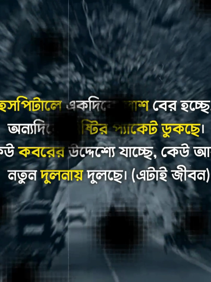 #creatorsearchinsights 