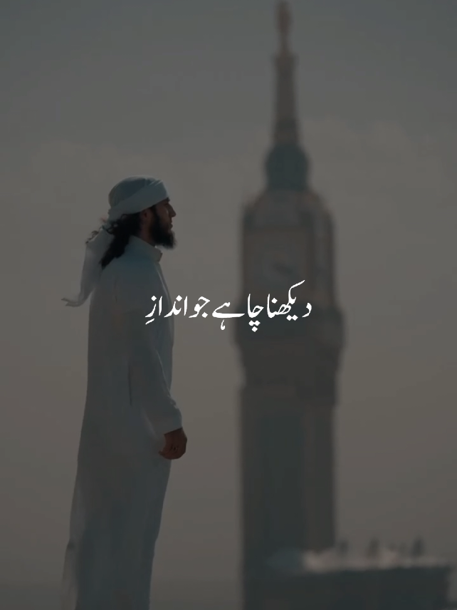 Part: 03 🦋🤍 خوب آنکھوں نے تیرے در کے یہ منظر دیکھے #makkahmadinah #muhammadsaw #islamic_video #naat #editsbyahmed 