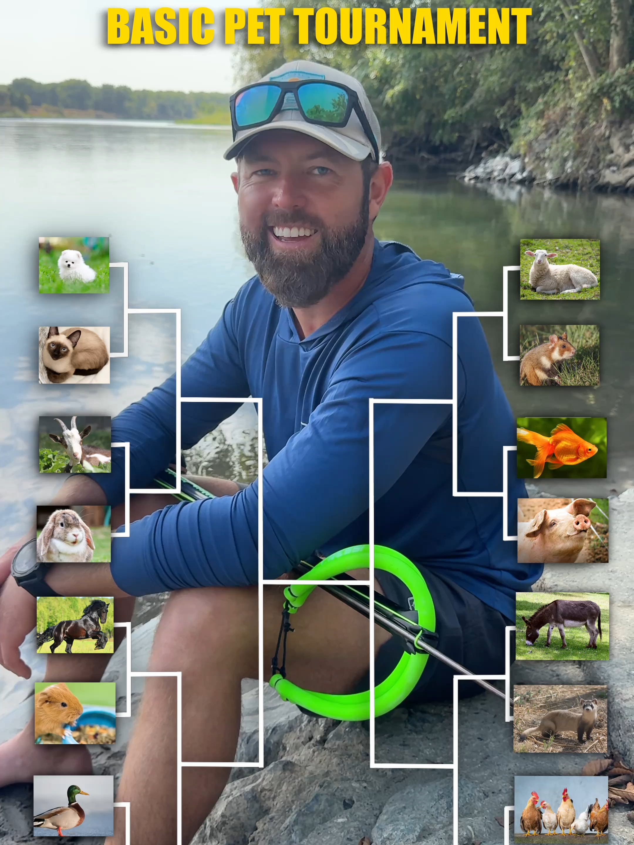 Which Animal Should Have Won?