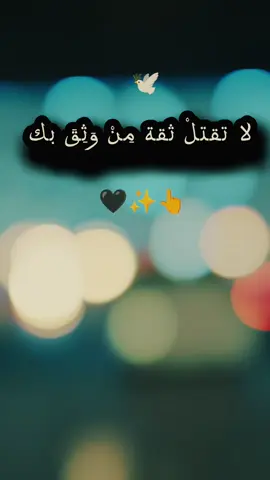 #CapCut #عبارات  لا تقتلْ ثقة مِنْ وَثِقَ بك