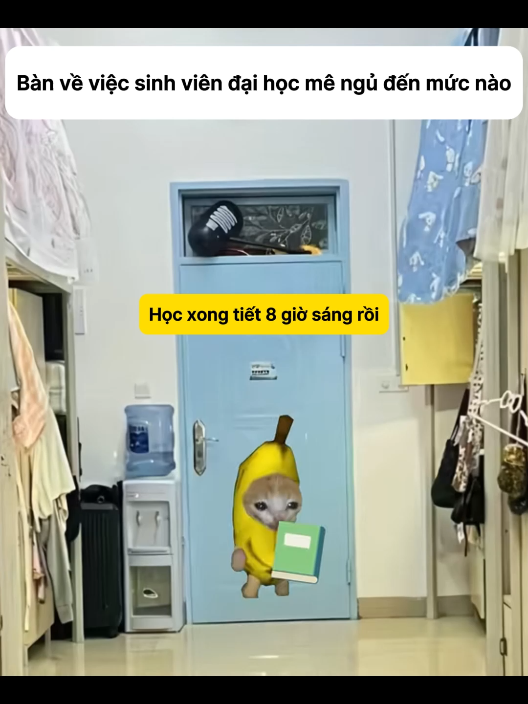 Bàn về việc sinh viên đại học mê ngủ đến mức nào #meme #catmemes #pets #cat