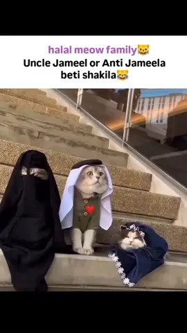 Meow family 😹❤ #viral?videotiktok😇😇 #foruyou 