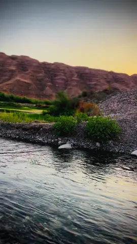 #عتابه #حزينہ♬🥺💔 محمد الموسى#لاتود الغير وتميل#تصويراحترافي_الاجواء👌🏻🕊 #سديره_ارض_لامن_والمان_والحب_والسلام @ضرار ابو عبود @كمـــــال أسديرة 