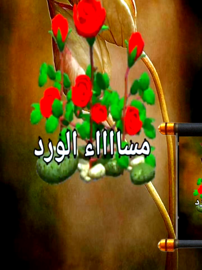 #مساء_الورد_لكل_الأحبة #فيرال_فيديوفوريو #❤️❤️❤️❤️❤️❤️ 