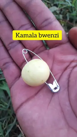 kamala bwenzi #canada_life🇨🇦 #kadamasaudia🇸🇦 #fypシ゚ #ugandatiktok🇺🇬 #fyppppppppppppppppppppppp 