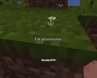#Minecraft #Littlefrog #Nice #wholesome 