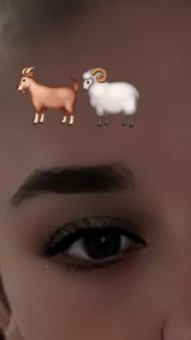 🐏🐐😂‼️‼️‼️#fyp #tiktok_virall 